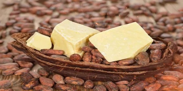 خرید سفارشی پودر کاکائو مورد نیاز تولید کنندگان