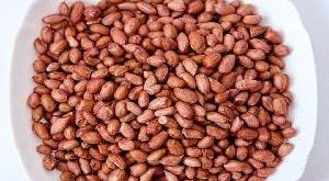 فروش بادام زمینی